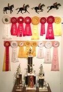 Julie Books: IHSA Ribbons, Softball Trophies, Olympic Weightlifting Trophies