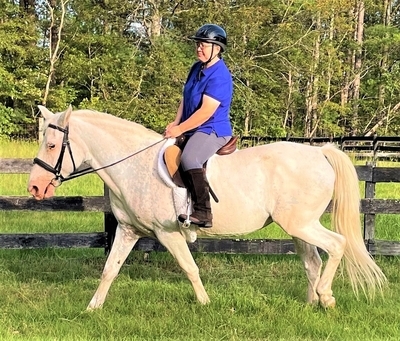 Julie N. Books Riding Majesty