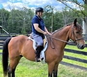 Julie N. Books Riding Teddy Bear (Memorial Day 2025)