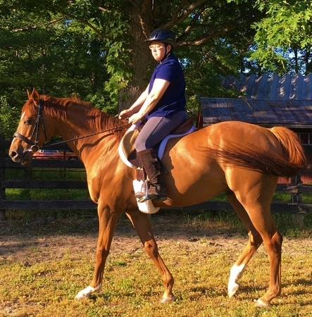 Julie Books Riding Joey